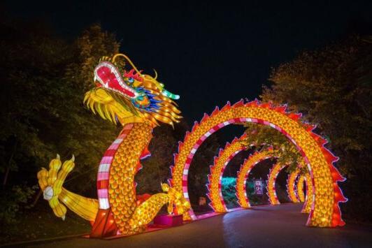 在圣路易斯动物园举行的动物红灯笼节上，有一条五颜六色的中国龙走廊.